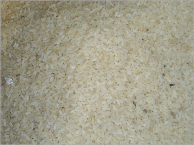 IR 36 Rice