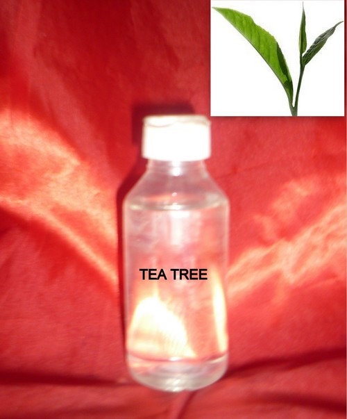 Tea Tree