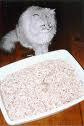 Cat litter
