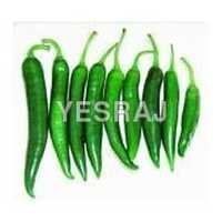 Fresh Green Chilli