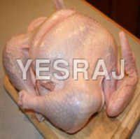 Turkey Meat