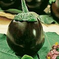 Eggplant Seeds