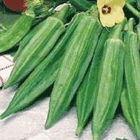 Okra Seeds