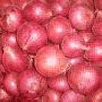 Red Onion Seeds