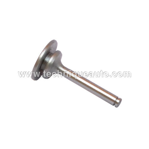 Silver Pump Non Return Valve Mf-245