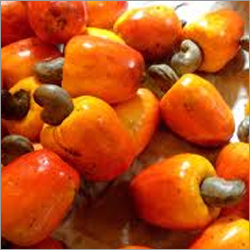 Fresh Cashew Nut