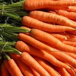 Red Carrot
