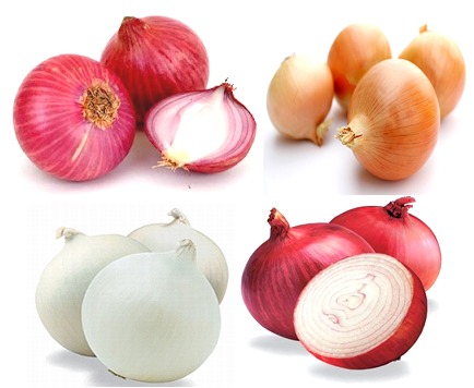 Fresh Onion