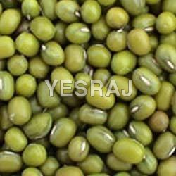 Green Mung Bean By YESRAJ AGRO EXPORTS PVT. LTD.