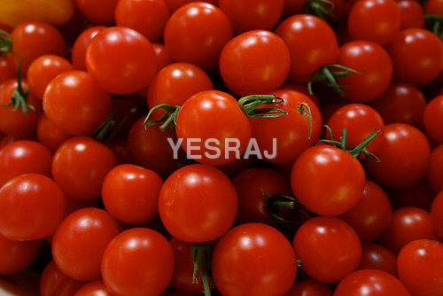 Round Cherry Tomato