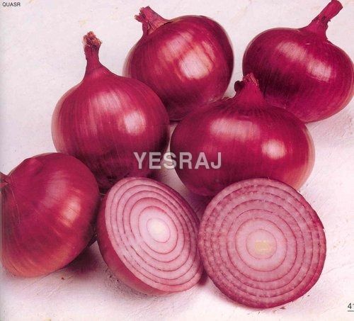 organic onion