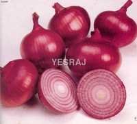 organic onion