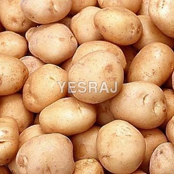 Organic Potatoes 