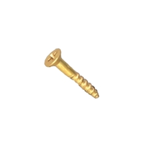 Brass Phillips Head Wood Screws