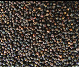 Whole Black Pepper