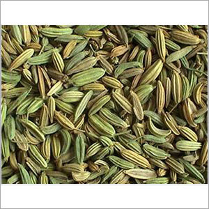 Fennel