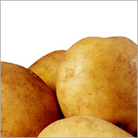 Potato Seeds