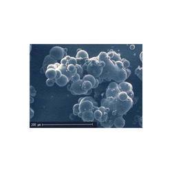 Agglomeration Process
