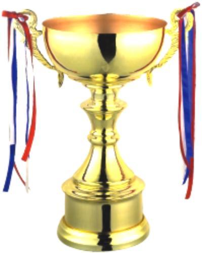 Metal Trophies