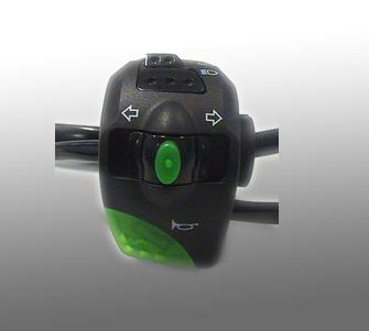 Automobile Switch