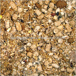 Cattle Feed