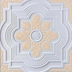 Gypsum Ceiling Board