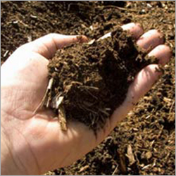 Soil Testing