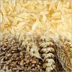 Rice and Wheat Testing