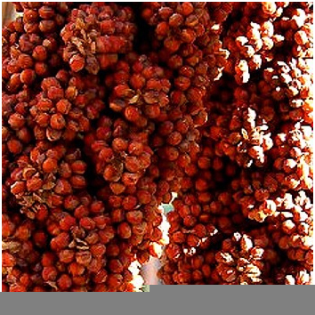 Red Millet Products