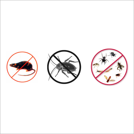 Commercial Pest Control Services - Eco-Friendly Integrated Pest Management, Effective Treatment for Insects & Rodents | Expert Technicians, Long-Lasting, Prompt Service