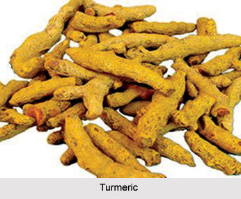 Yellow Turmeric Root