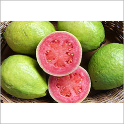 Red Guava