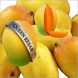 FRUIT & FRUIT PRODUCTS