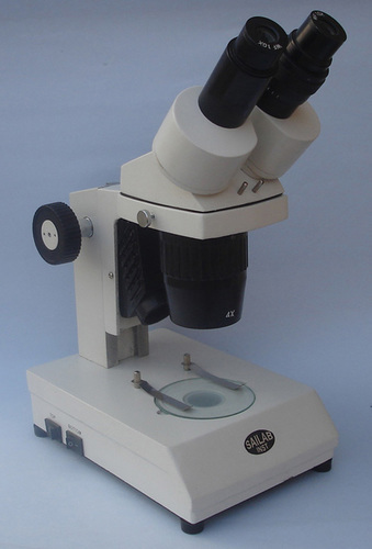 Stereo Microscope