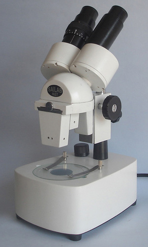 binocular Stereo Microscope