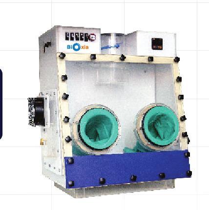 Dual Gas Anaerobic Workstation