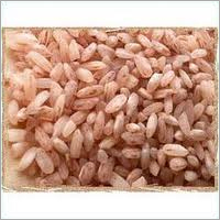 Mota Rice - Brown, Medium Grain, <5% Broken Grains, 14% Moisture | Nutritious, Great Taste, Easy Cooking, Bulk Pack, 12 Months Shelf Life