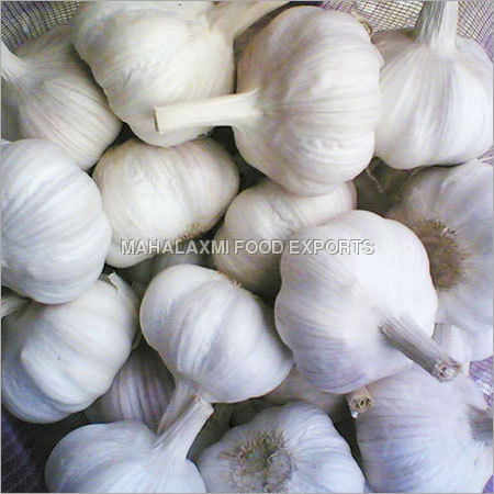 Fresh Dehydrated Garlic