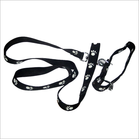 Dog Chain
