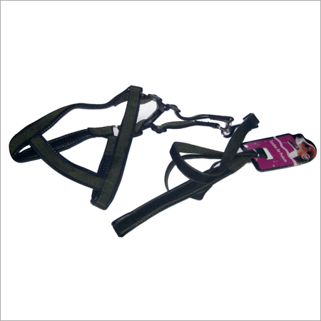 Dog Chain