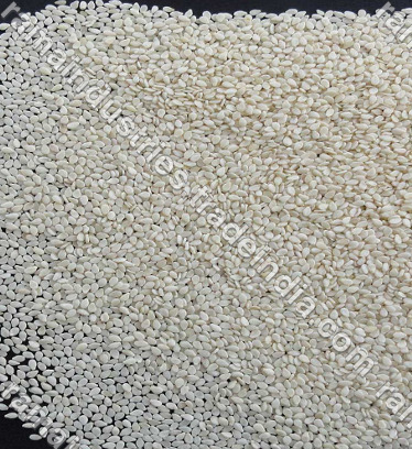Sesame Seed