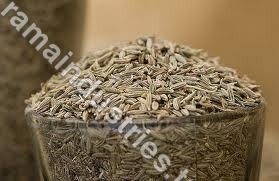 Cumin Seed