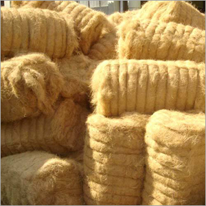 Natural Coir Fibre