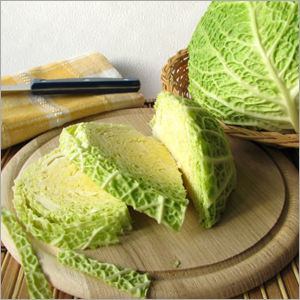Cabbage