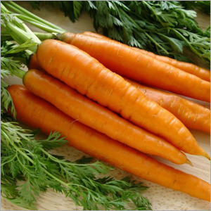 Carrot