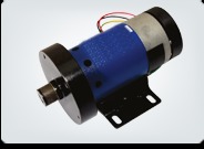 Treadmill Electric Motor
