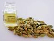Cardamom Guatemala Oil
