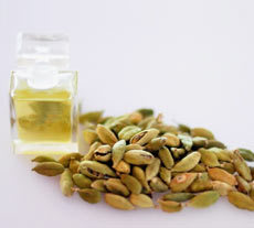 Cardamom Essential Oil