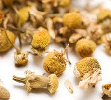 Chamomile Blue Oils