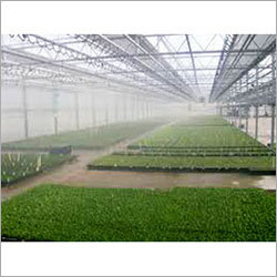 Industrial Green House - Steel Frame Custom Size PE Film | Sliding Door UV Coated Climate Control Natural Ventilation